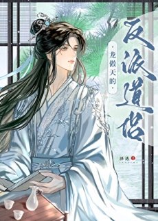 龙傲天的反派道侣